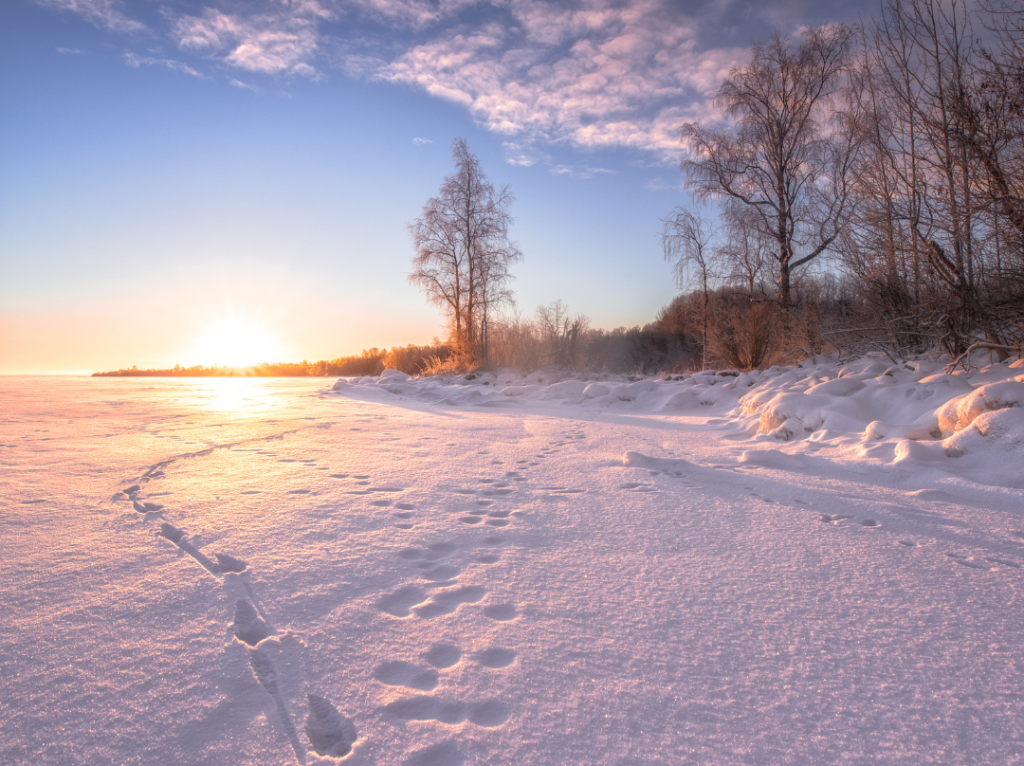 Foot prints in the new fallen snow with the sun reflecting in a lake in winter